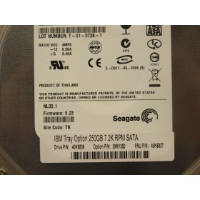 "IBM 39M1350 250GB 3.5"" HDD | Usado"