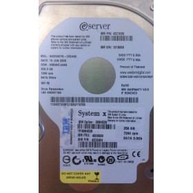 Disque Dur IBM Sata2 3.5 7200rpm 250 Gb 40K6889