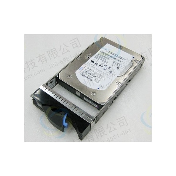 Dischi IBM 42C0498 Sata 3.5" 7200rpm 1000 Gigas