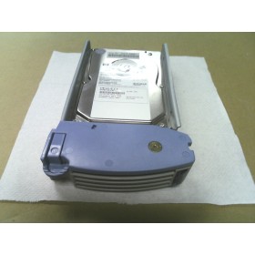 Disque dur HP 9L9006-501