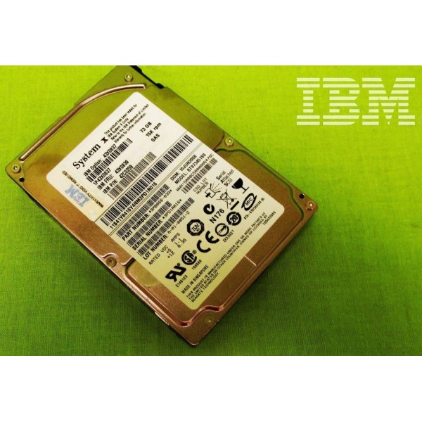 Disk drive IBM 43X0839