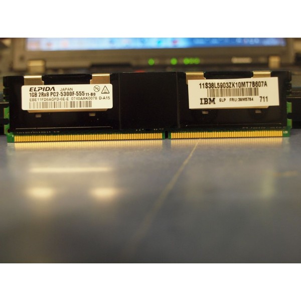 Memoria IBM 39M5784 2 Go (2 x 1 Go) DDR2 SDRAM DIMM 240 broches