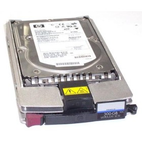 "HP 271837-021 300GB 3.5"" HDD | Usado"