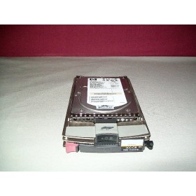 "HP 364618-001 300GB 3.5"" HDD | Usado"