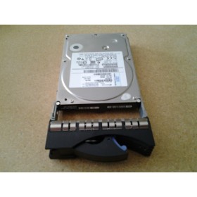 "IBM 39M4529 250GB 3.5"" HDD | Usado"