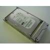 Hard Drive SUN 390-0381-03 SATA 3.5" 1000 Gigas 7200 Rpm