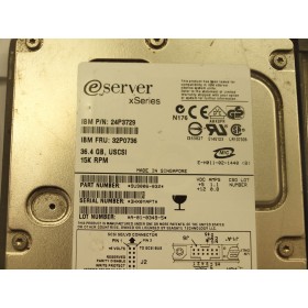 "IBM 24P3729 36GB 3.5"" HDD | Usado"